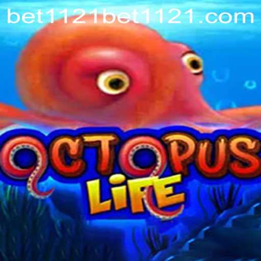 Dive into the World of OctopusLife